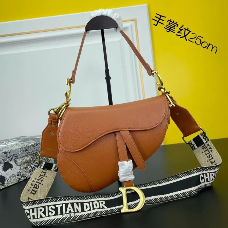 Dior Saddle Bags-170