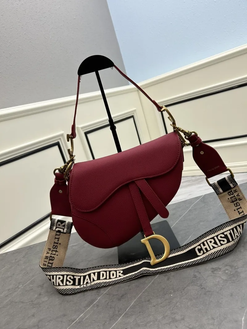 Dior Saddle Bags-171