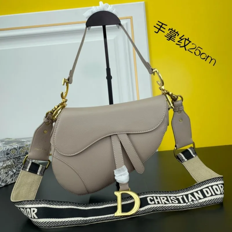 Dior Saddle Bags-173