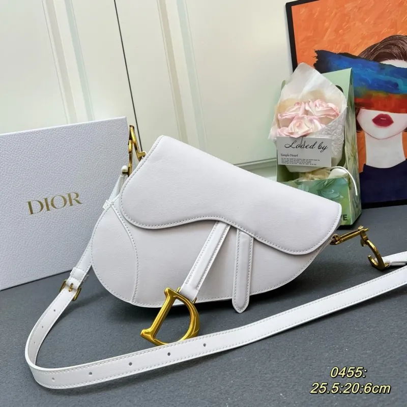 Dior Saddle Bags-174