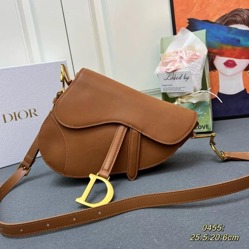 Dior Saddle Bags-176