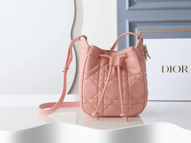 Dior Satchel bags-1