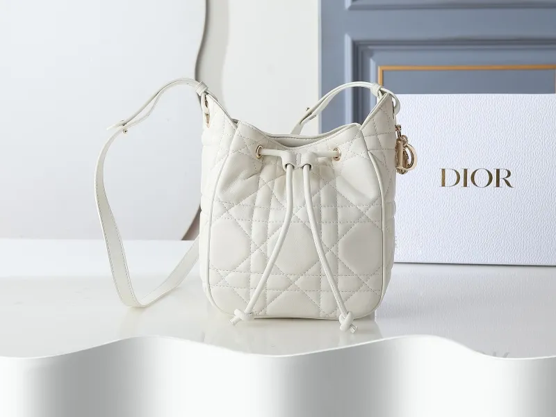 Dior Satchel bags-2