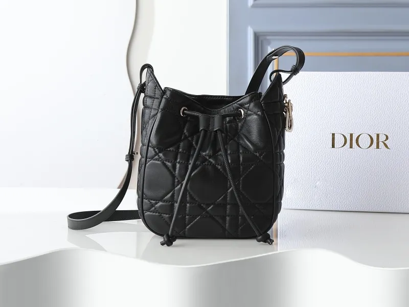Dior Satchel bags-3