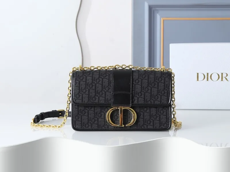 Dior Satchel bags-4