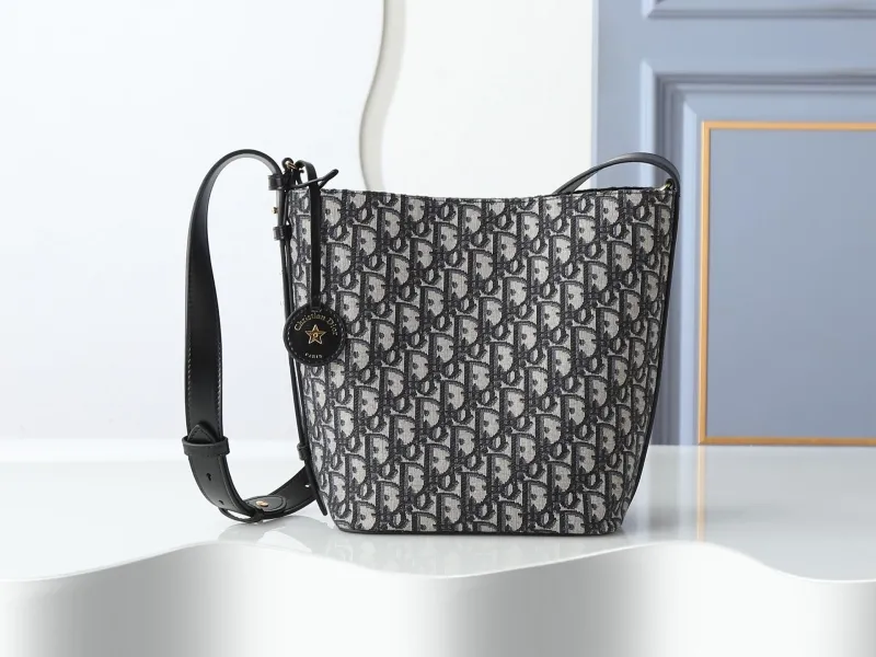 Dior Satchel bags-6