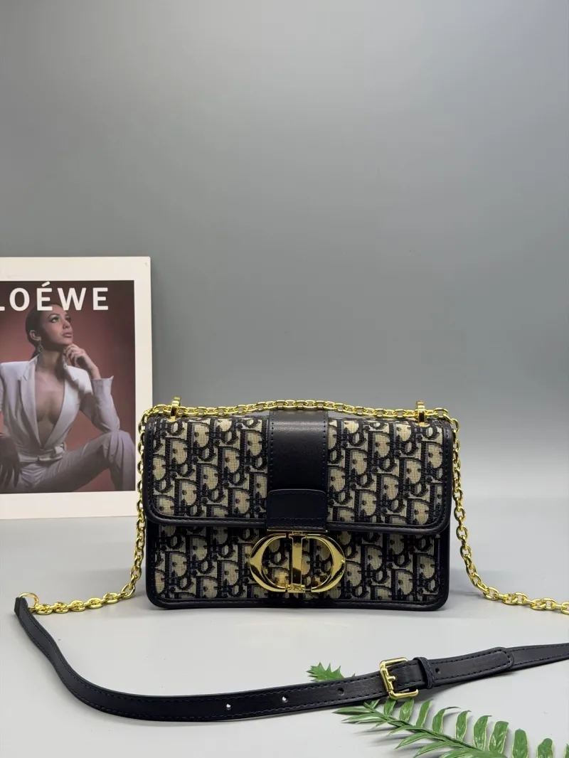 Dior Satchel bags-7