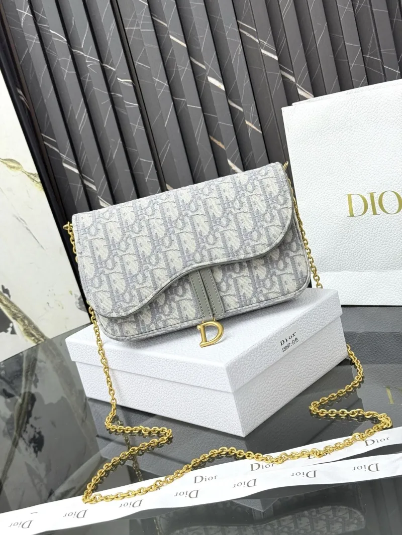 Dior Satchel bags-17