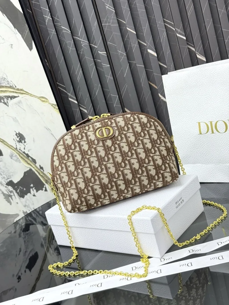 Dior Satchel bags-24
