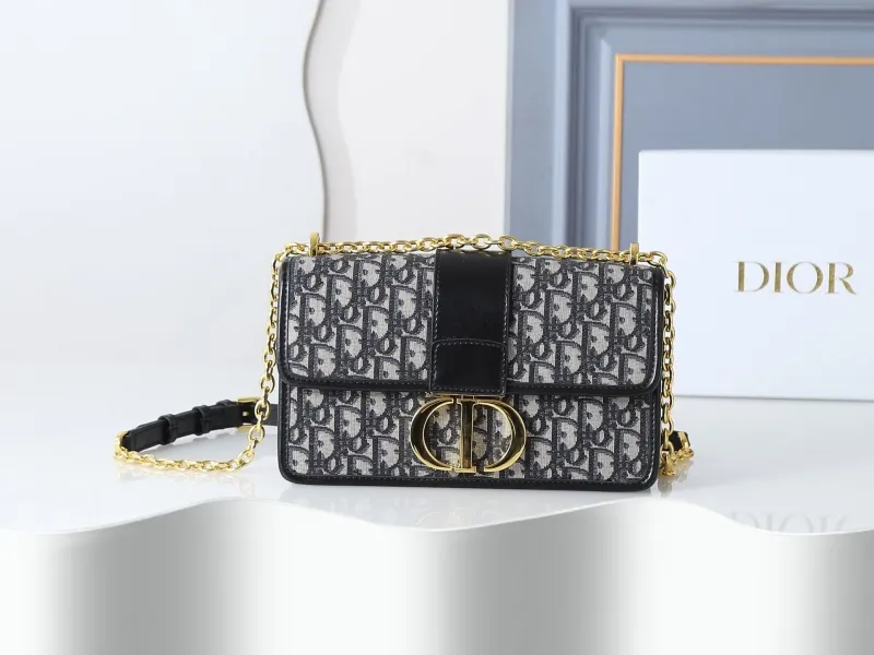 Dior Satchel bags-25