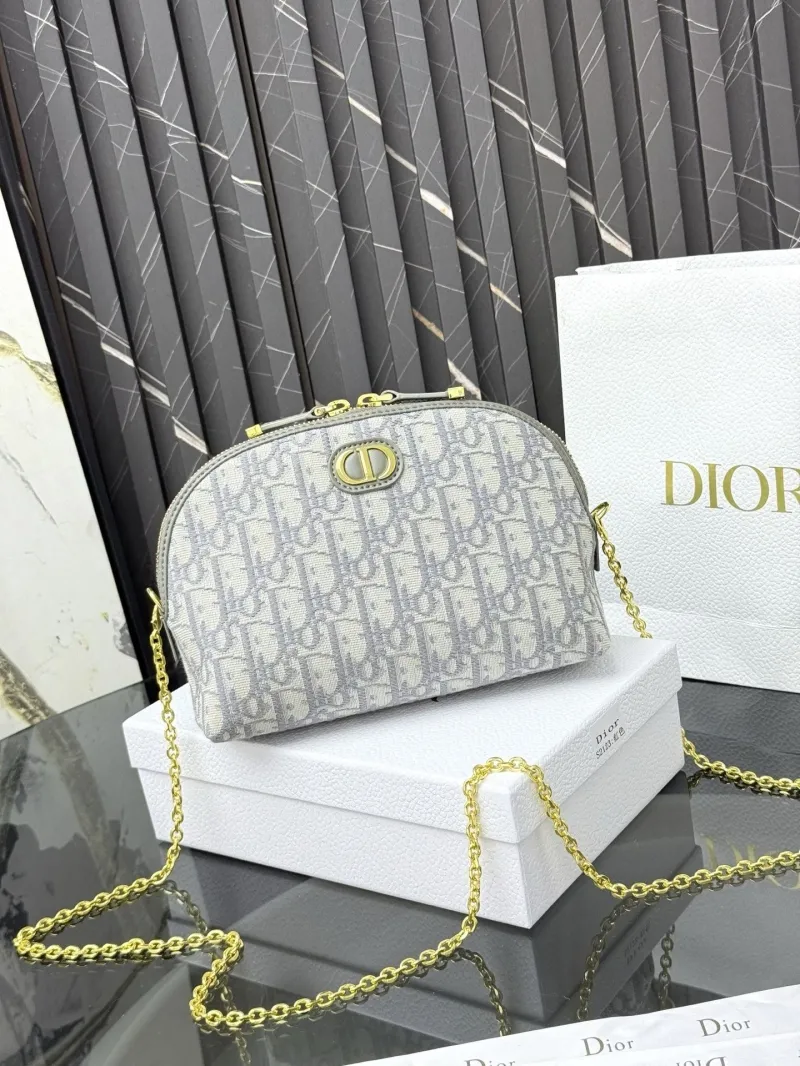Dior Satchel bags-26