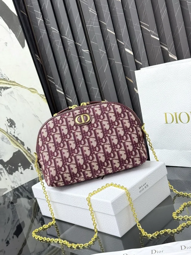 Dior Satchel bags-27