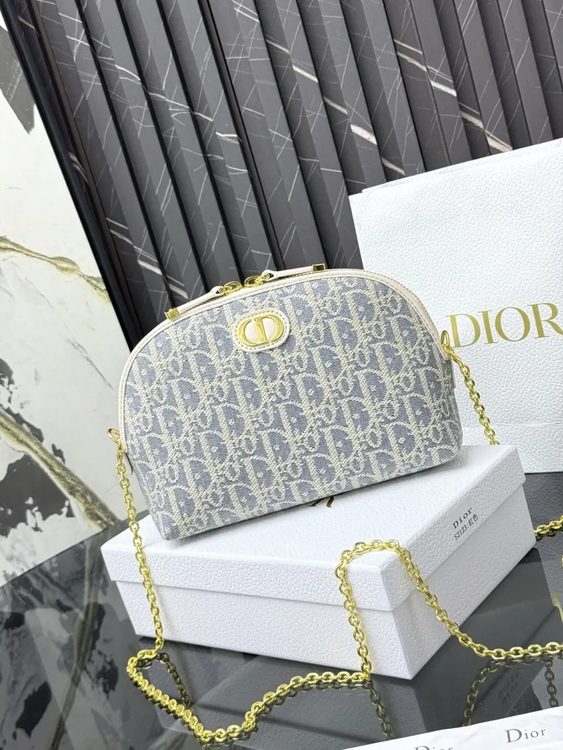 Dior Satchel bags-28