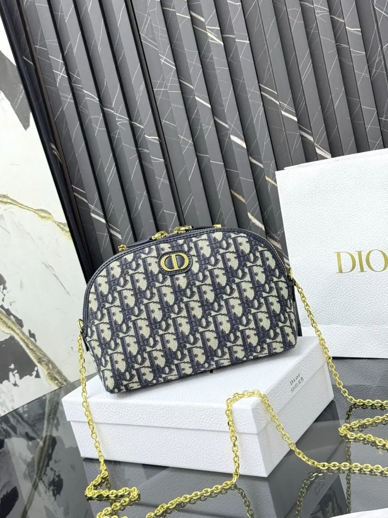 Dior Satchel bags-29
