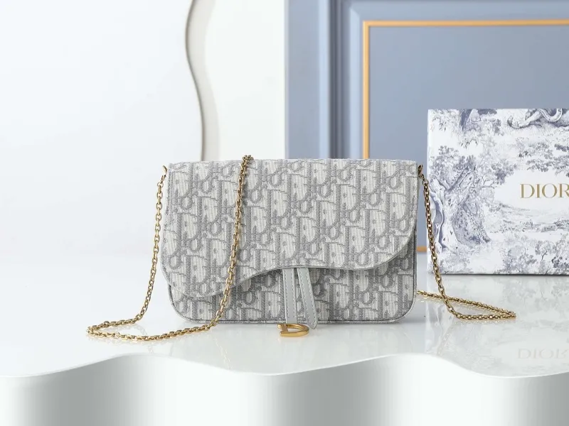 Dior Satchel bags-31