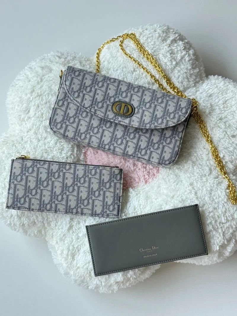 Dior Satchel bags-33