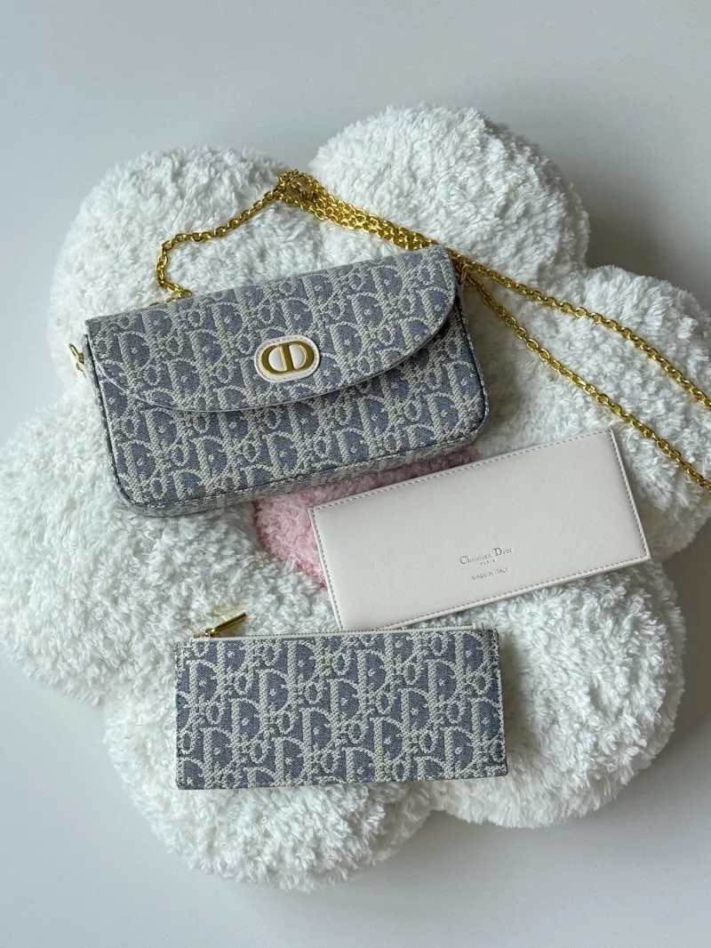 Dior Satchel bags-34
