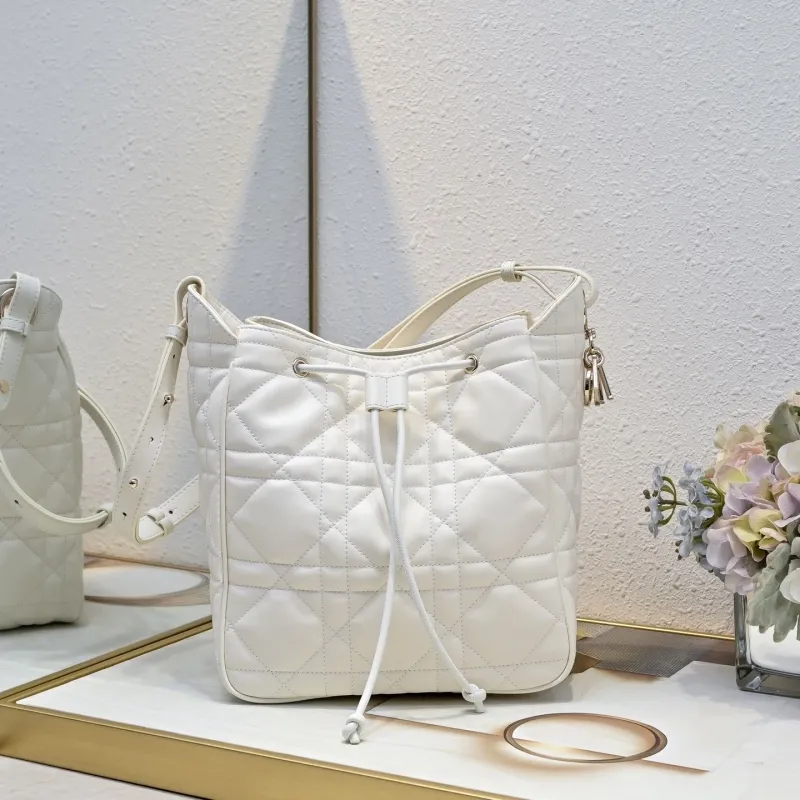 Dior Satchel bags-107