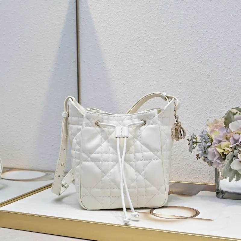 Dior Satchel bags-110