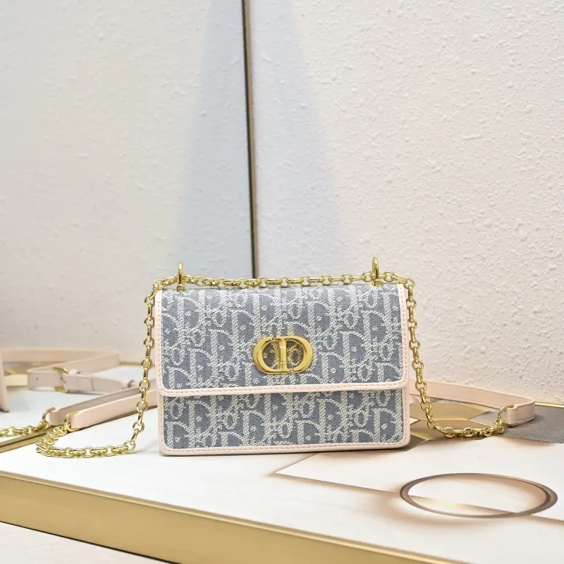 Dior Satchel bags-151