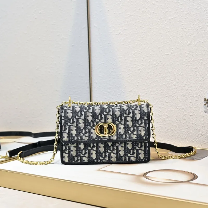 Dior Satchel bags-152