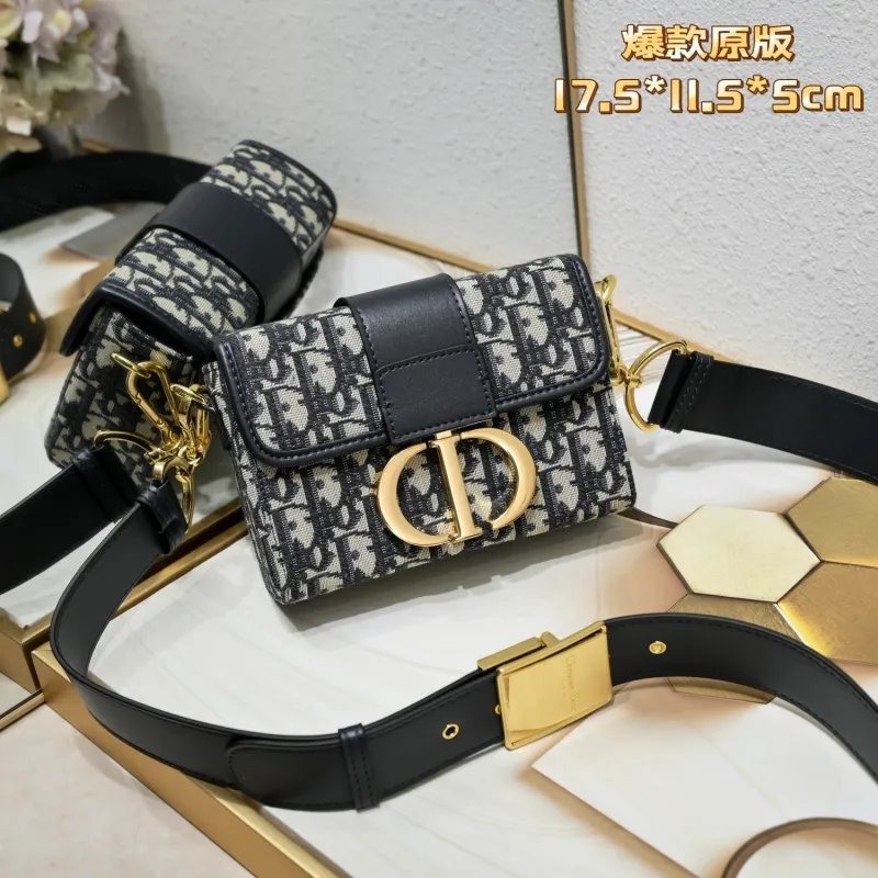 Dior Satchel bags-170