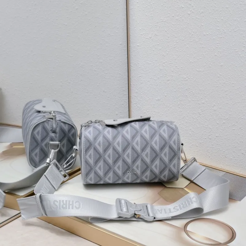 Dior Satchel bags-193