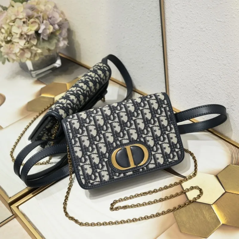 Dior Satchel bags-202