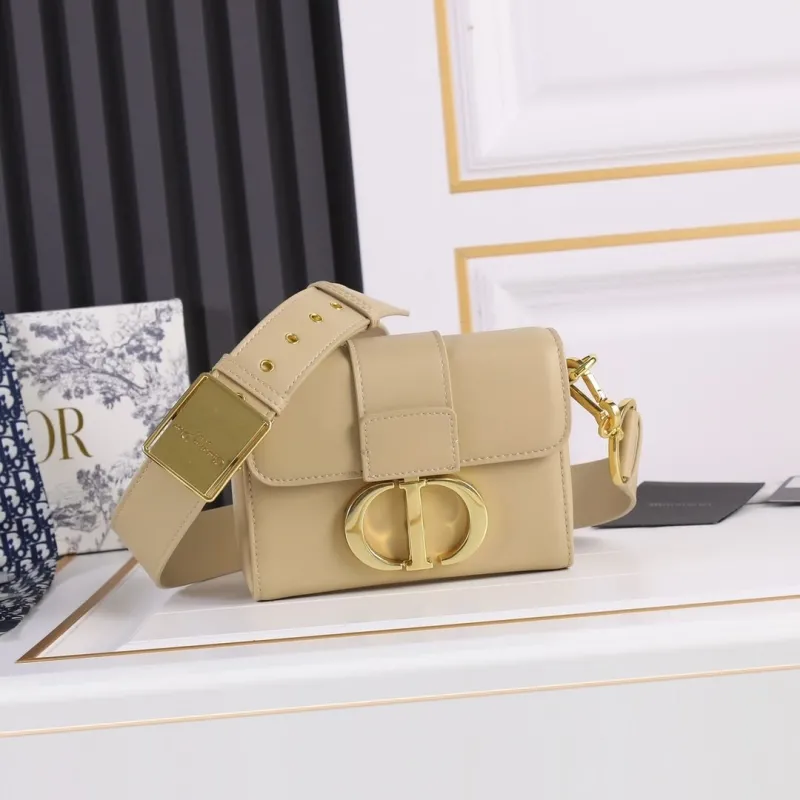 Dior Satchel bags-203