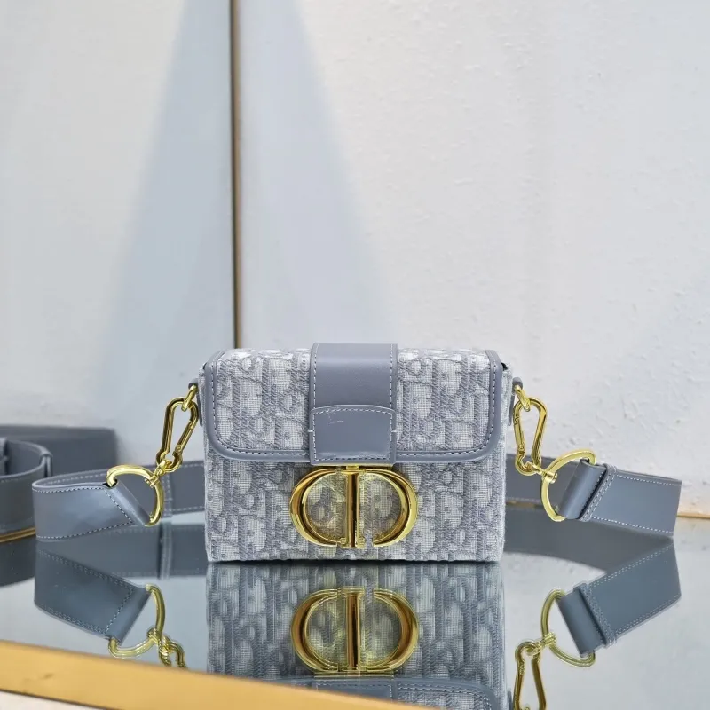 Dior Satchel bags-212