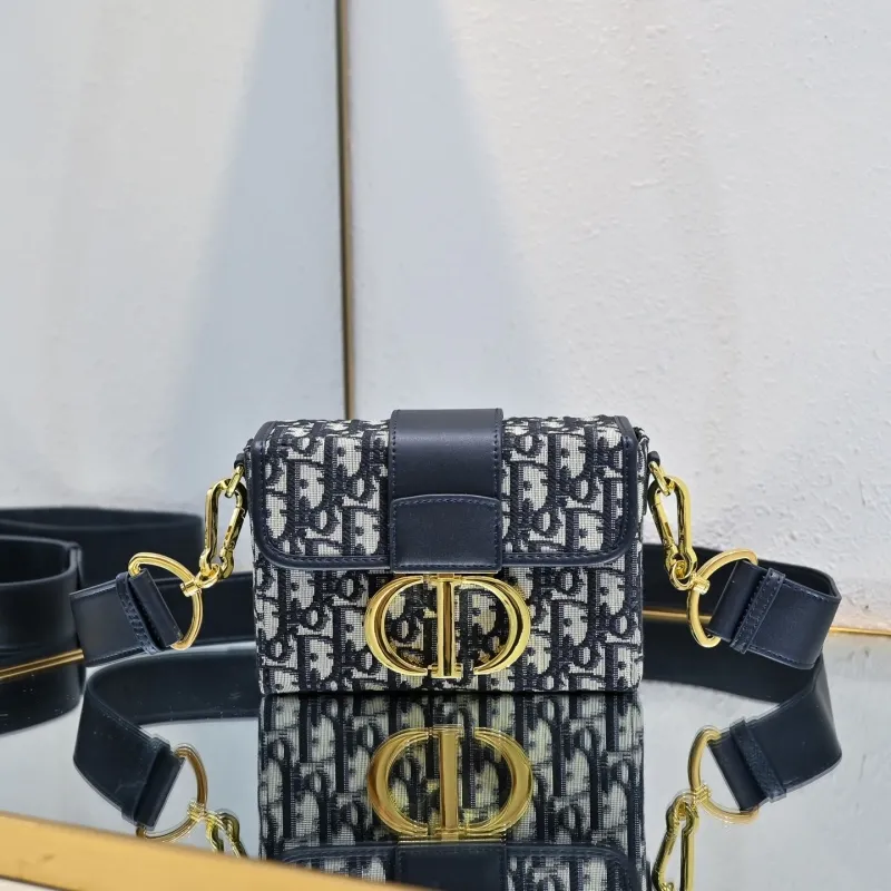 Dior Satchel bags-213