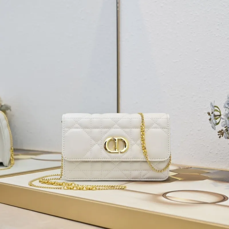 Dior Satchel bags-218