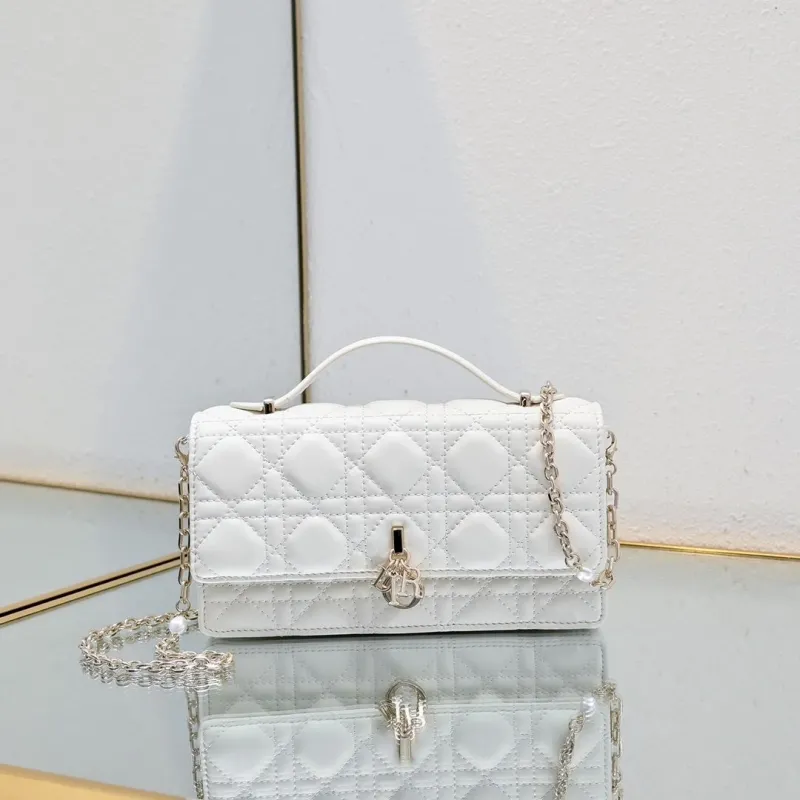 Dior Satchel bags-227