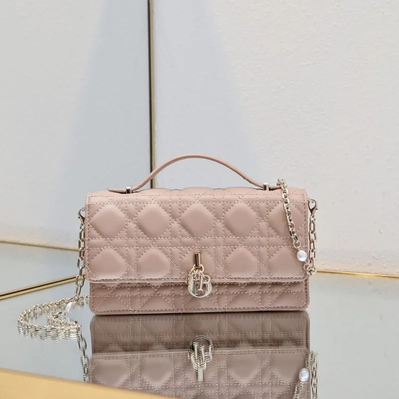 Dior Satchel bags-229