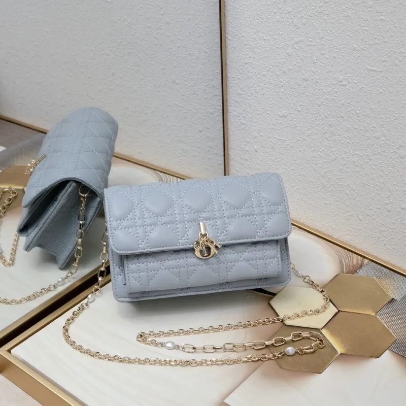 Dior Satchel bags-251
