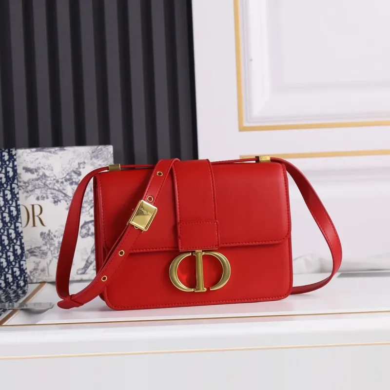 Dior Satchel bags-255