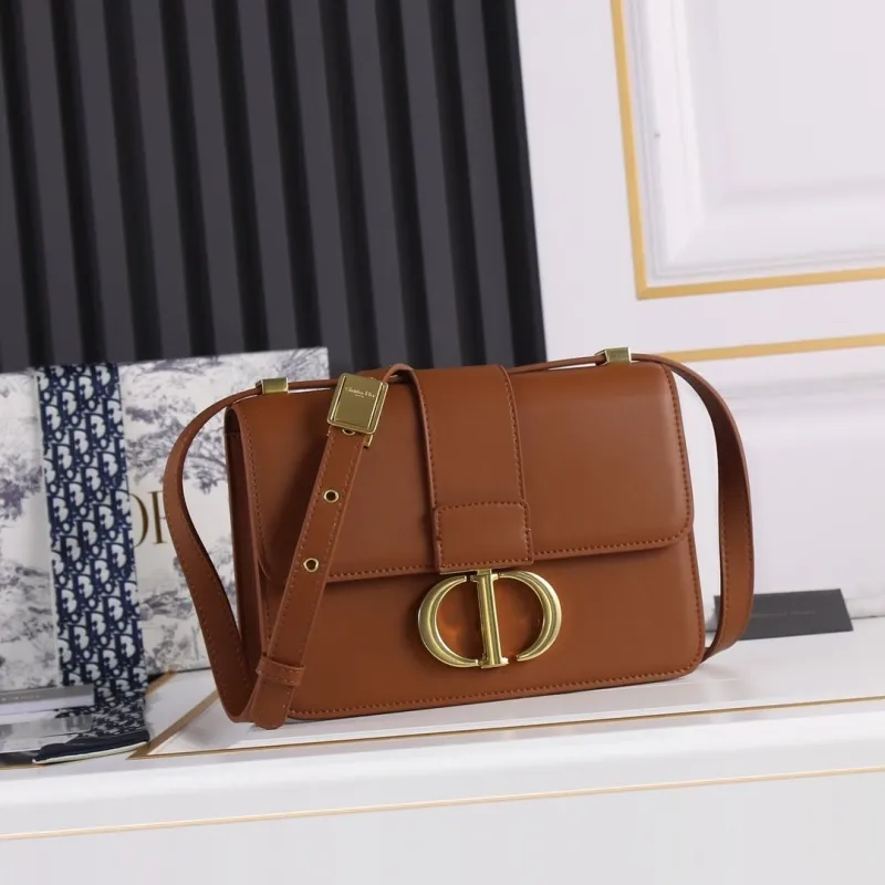 Dior Satchel bags-256