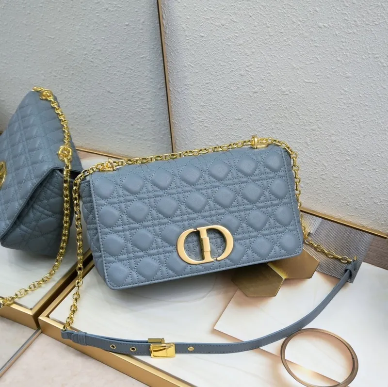 Dior Satchel bags-289
