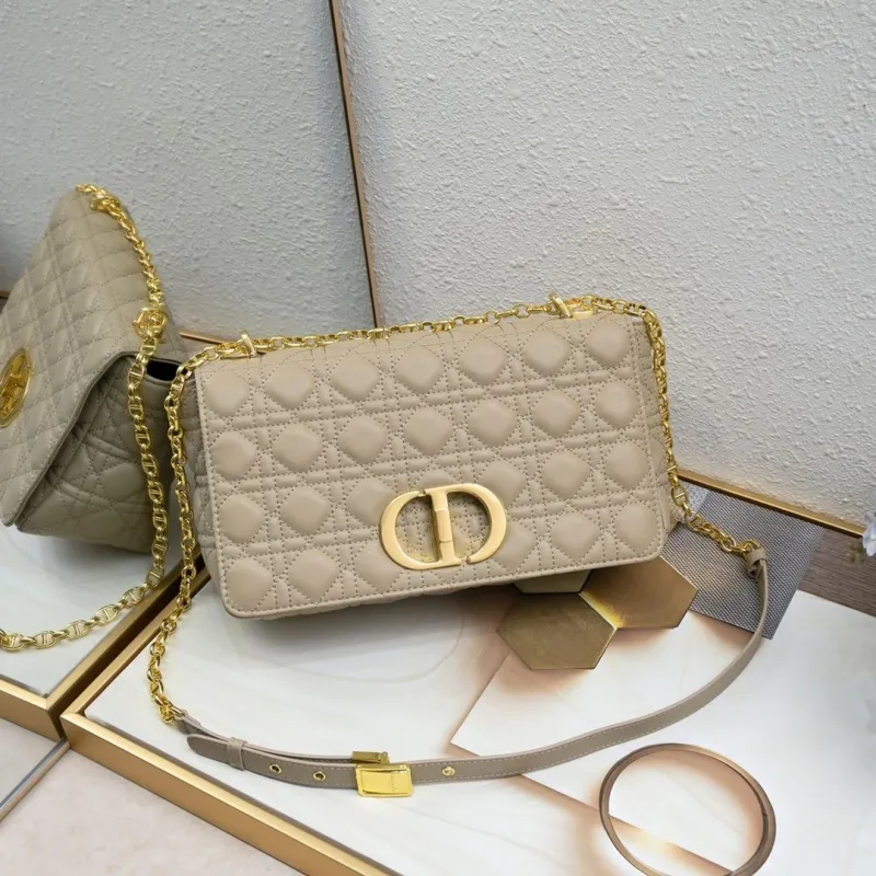 Dior Satchel bags-292