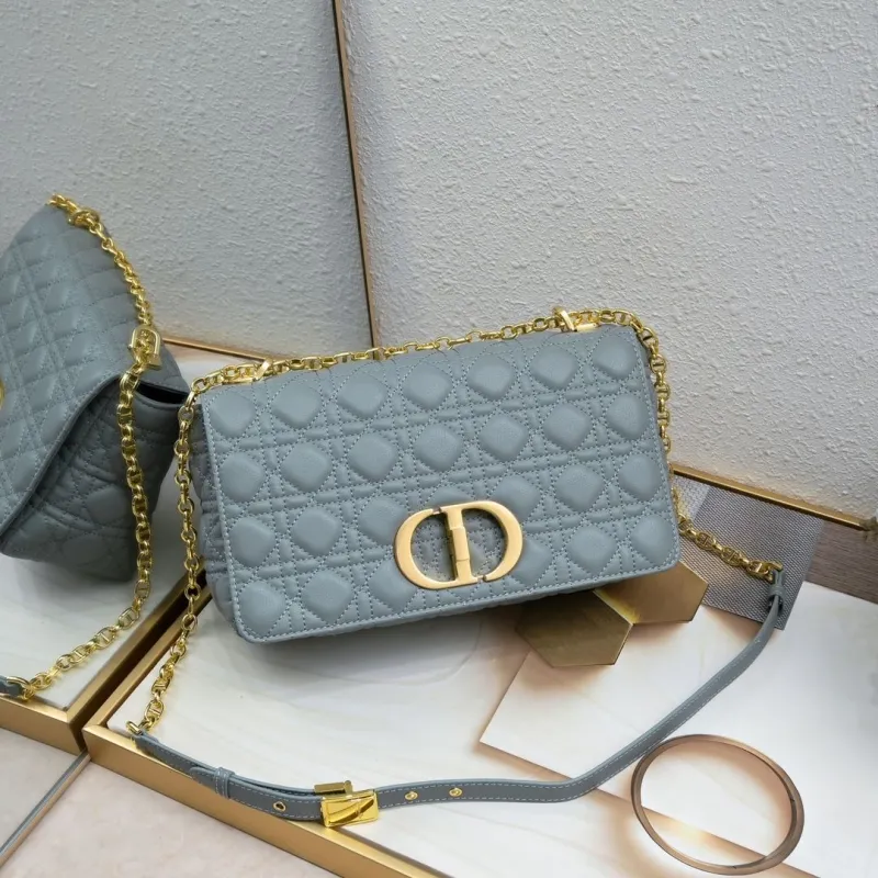 Dior Satchel bags-293