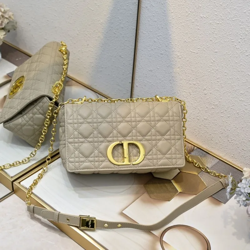 Dior Satchel bags-296