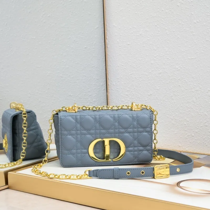 Dior Satchel bags-299