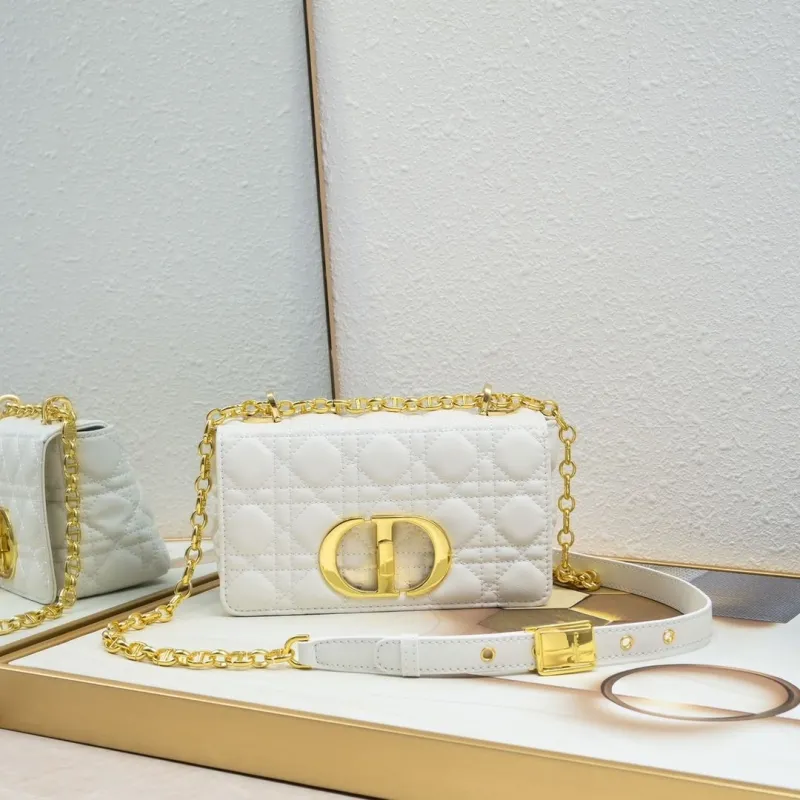 Dior Satchel bags-301