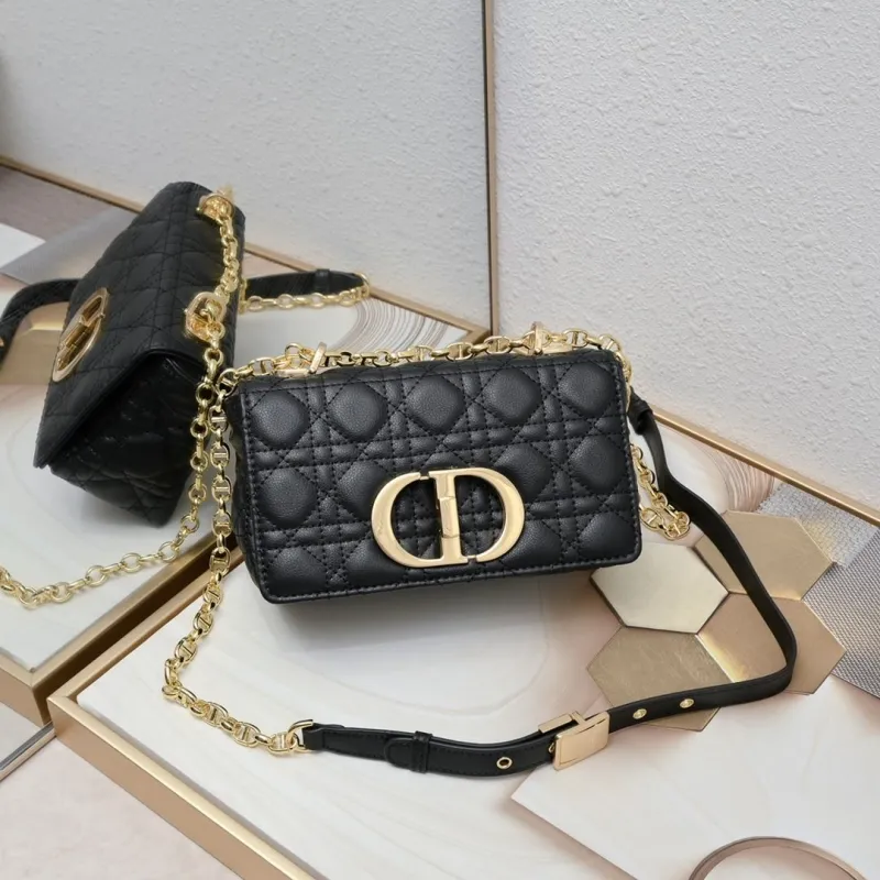 Dior Satchel bags-302