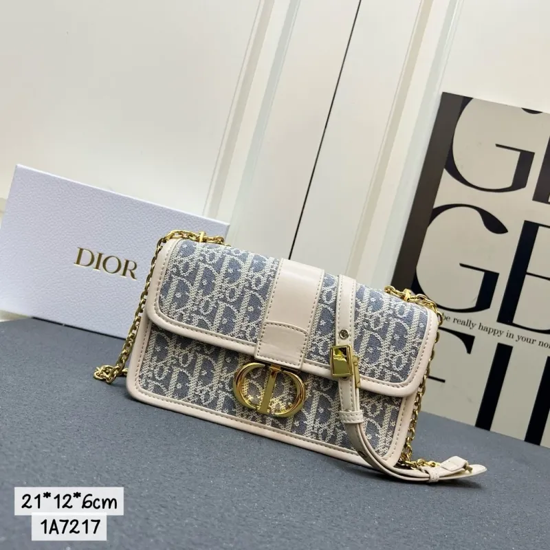 Dior Satchel bags-343