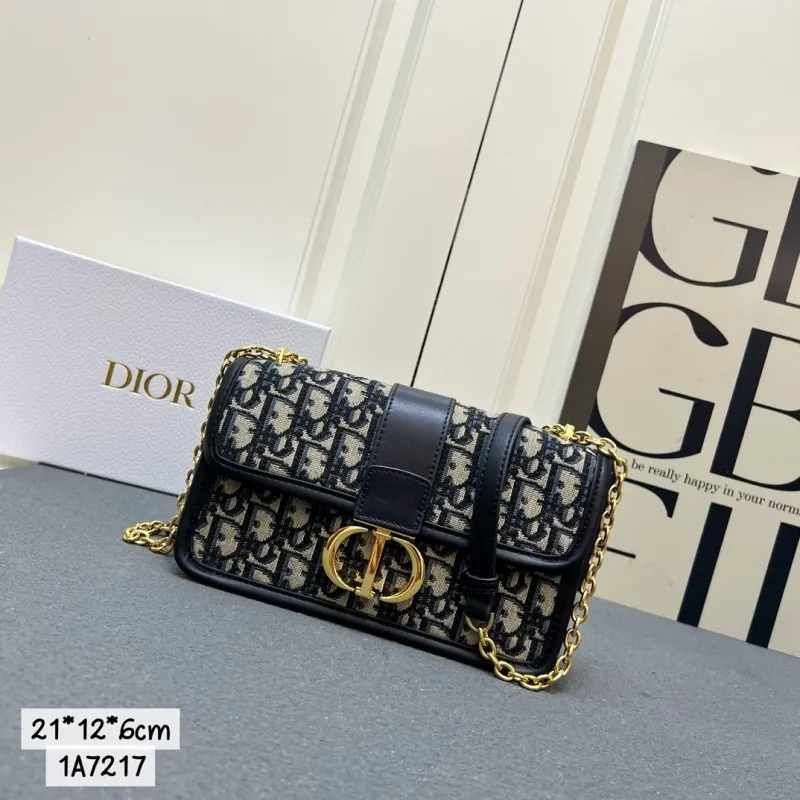 Dior Satchel bags-344
