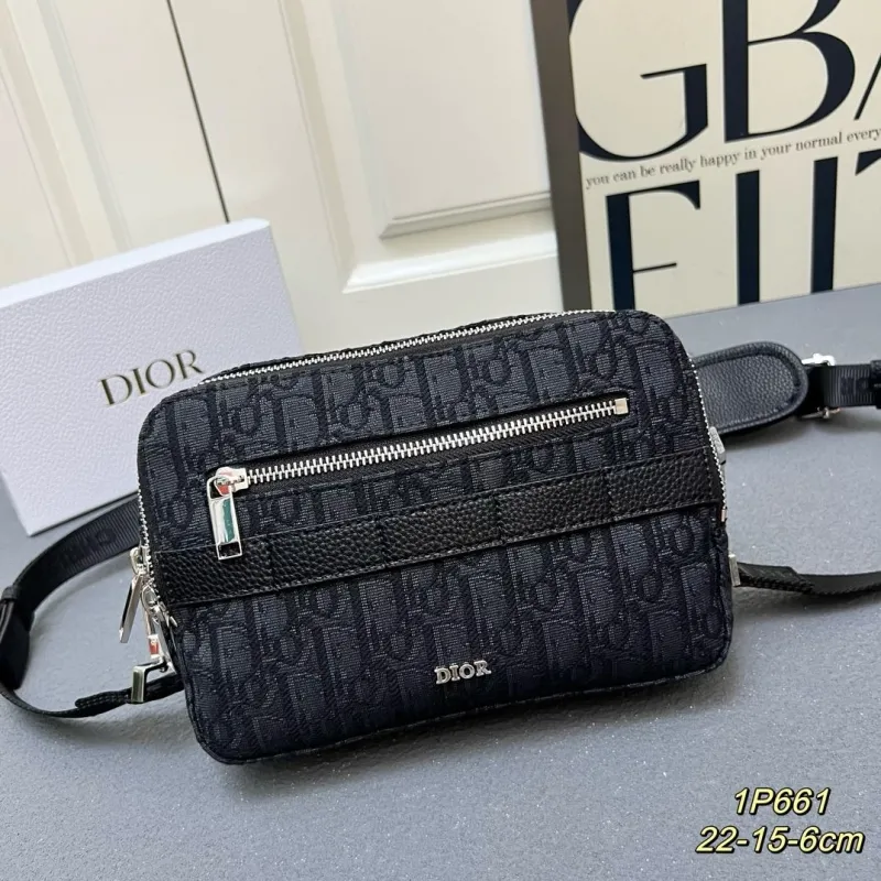 Dior Satchel bags-356