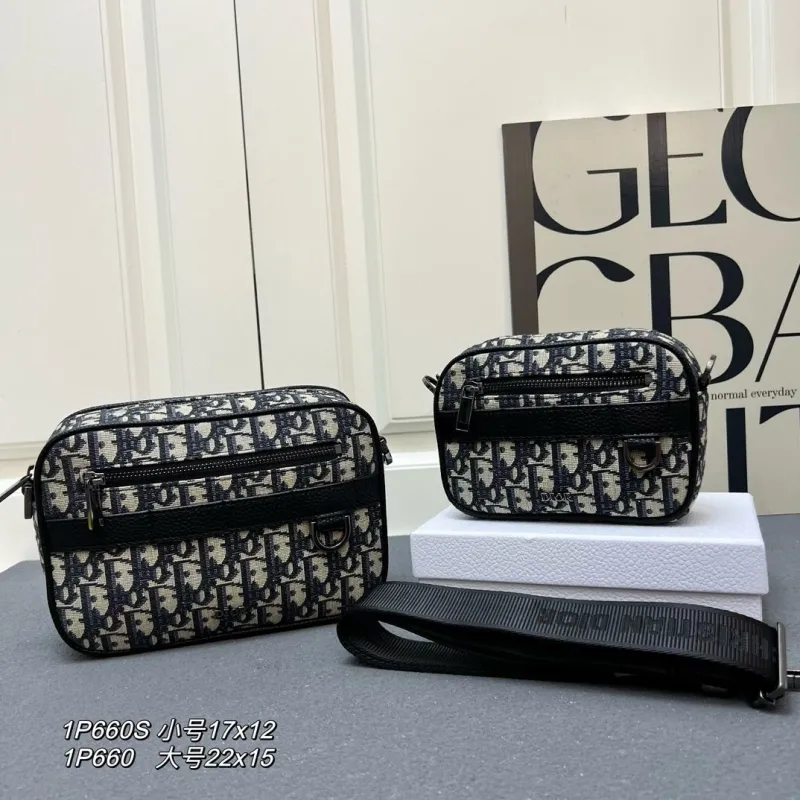 Dior Satchel bags-359