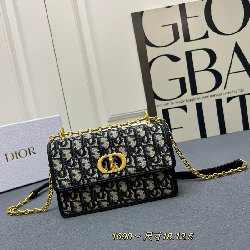 Dior Satchel bags-372