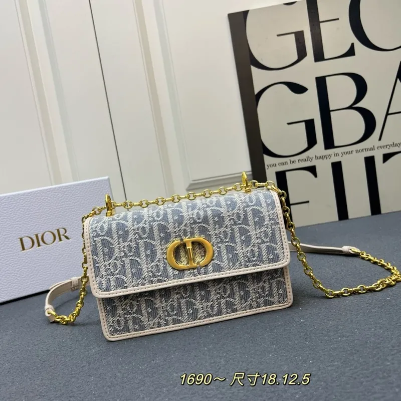 Dior Satchel bags-373